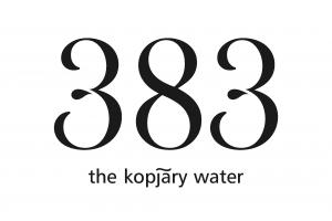 383 The Kopjary Water Needl