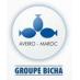 Groupe Bicha (Nouvelle Aveiro Maroc)