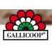 Gallicoop