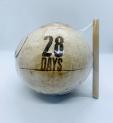 Fresh Organic Coconut Water in Coconut Shell with Bamboo Straw