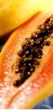 Aseptic Papaya Puree
