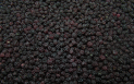 IQF frozen wild blackberry