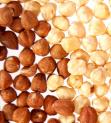 Hazelnut kernels natural & blanched