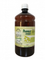 GLYCOL PROPOLIS EXTRACT - 1L