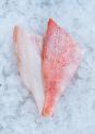 Red perch fillet