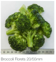 Broccoli Florets 20/55mm