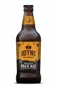 Boyne Pale Ale 