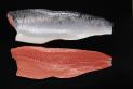 Fresh Atlantic Salmon Fillet, Trim D, with skin