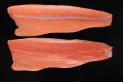 Fresh Atlantic Salmon Fillet, Trim E, skinless