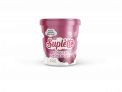 SUPLETTE berry ice cream tube 500 ml WITHOUT ADDED SUGAR