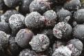 IQF (Individually Quick Frozen) wild bilberry (Vaccinium Myrtillus)