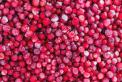 IQF (Individually Quick Frozen) lingonberry (Vaccinium vitis-idaea)