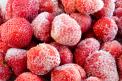 IQF (Individually Quick Frozen) strawberry (Fragaria Ananassa)