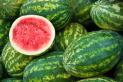 Watermelon juice - bulk
