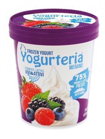 frozen yogurt lactose